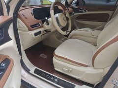 ORA Good Cat 401km Standard Range Luxury Trim Ternary Lithium Battery - photo 13