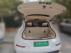 ORA Good Cat 401km Standard Range Luxury Trim Ternary Lithium Battery - photo 9