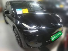Tesla Model Y Rear-Wheel Drive - photo 5