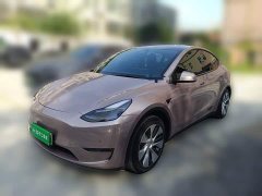 Tesla Model Y Standard Range RWD - ფოტო 1