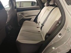 BYD Song Plus New Energy DM-i 112KM Prestige - ფოტო 16