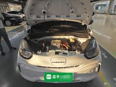 SAIC Corey Wei CLEVER 302km New Four-Seat Super Version - ფოტო 19