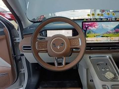Wuling Bingguo S 325km Deluxe Edition - ფოტო 10