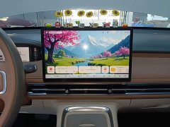 Wuling Bingguo S 325km Deluxe Edition - ფოტო 12