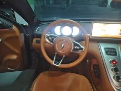 ORA Lightning Cat 555km Deluxe Edition - ფოტო 10