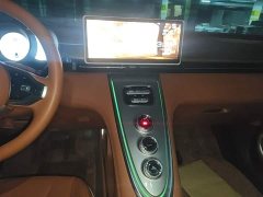 ORA Lightning Cat 555km Deluxe Edition - ფოტო 12