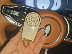 ORA Lightning Cat 555km Deluxe Edition - ფოტო 8