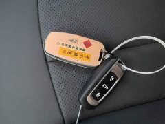 Geely Emgrand X3 PRO 1.5L CVT Luxury - photo 8