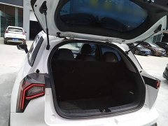 Geely Geometry E Firefly 301km Starlight - ფოტო 14
