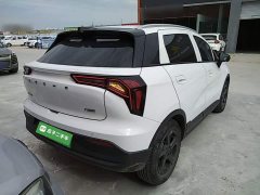 Geely Geometry E Firefly 301km Starlight - ფოტო 4
