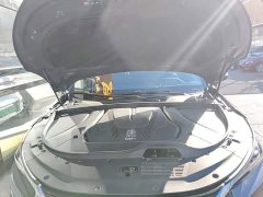 BYD Yuan Plus DM-i Champion Edition 112KM Deluxe - фото 19