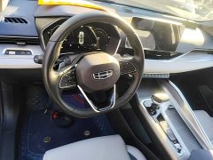 Geely Xingrui 2.0T Diesel Flagship - ფოტო 10