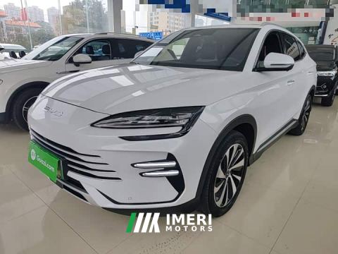 2024 BYD Song Plus New Energy Champion Edition DM-i 110KM Flagship Plus