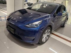 Tesla Model Y Standard Range RWD - photo 1
