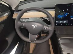 Tesla Model Y Standard Range RWD - photo 10