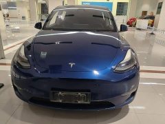 Tesla Model Y Standard Range RWD - photo 2
