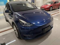 Tesla Model Y Standard Range RWD - photo 3