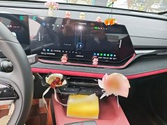 Changan X5 PLUS 1.5T DCT Pioneer Edition - ფოტო 5