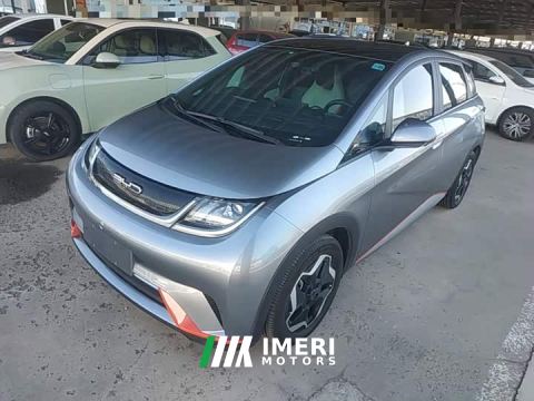 2022 BYD Dolphin 405km Fashion Edition