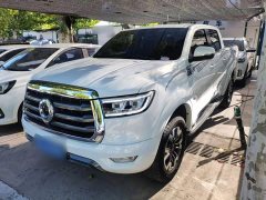 Changan Cannon 2.0T Passenger Global Edition Automatic Gasoline 2WD Comfort Standard Box GW4C20B - photo 1