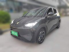 BYD Seagull Smart Drive 405km Flight Edition - ფოტო 1