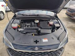 BYD Qin PLUS DM-i Smart Drive Edition 55KM Leading - фото 19