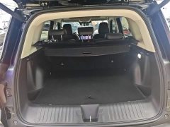 Great Wall Dachshund 1.5T DCT Two-Wheel Drive Border Collie Edition - photo 18