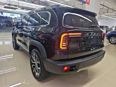 Great Wall Dachshund 1.5T DCT Two-Wheel Drive Border Collie Edition - photo 4