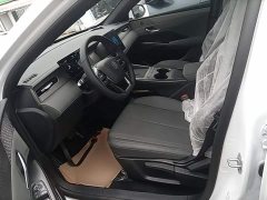 BYD Qin PLUS EV Smart Drive 510KM Entry-Level - ფოტო 15