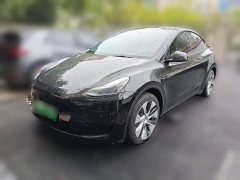 Tesla Model Y Rear-Wheel Drive - ფოტო 1