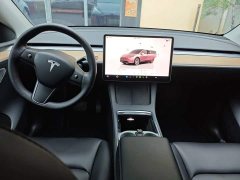 Tesla Model Y Rear-Wheel Drive - ფოტო 12