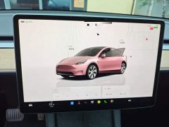 Tesla Model Y Rear-Wheel Drive - ფოტო 3