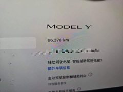 Tesla Model Y Rear-Wheel Drive - ფოტო 4