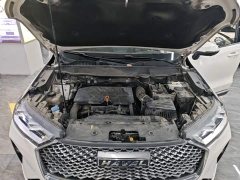Haval H6 Third Generation 1.5T Automatic Two-Wheel Drive Max - photo 19