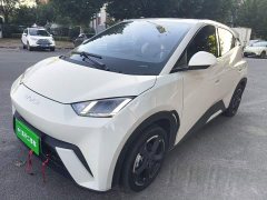 BYD Seagull Glory Edition 405km Flying Edition - photo 1