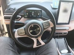 BYD Seagull Glory Edition 405km Flying Edition - photo 10
