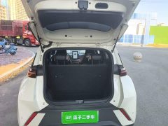 BYD Seagull Glory Edition 405km Flying Edition - photo 18