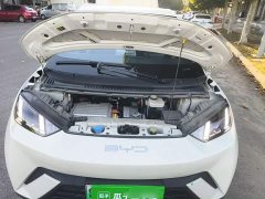 BYD Seagull Glory Edition 405km Flying Edition - photo 19