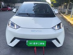 BYD Seagull Glory Edition 405km Flying Edition - photo 2
