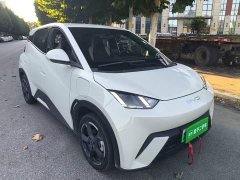 BYD Seagull Glory Edition 405km Flying Edition - photo 3