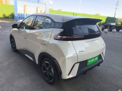 BYD Seagull Glory Edition 405km Flying Edition - photo 4