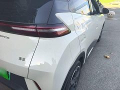 BYD Seagull Glory Edition 405km Flying Edition - photo 7