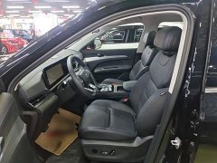 Ford Lingrui EcoBoost 170 Platinum Edition - photo 14