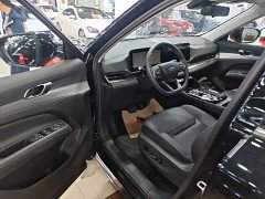Ford Lingrui EcoBoost 170 Platinum Edition - photo 15