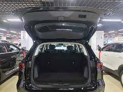 Ford Lingrui EcoBoost 170 Platinum Edition - photo 18