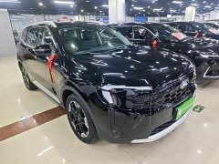 Ford Lingrui EcoBoost 170 Platinum Edition - photo 3