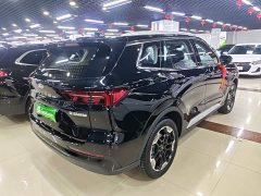 Ford Lingrui EcoBoost 170 Platinum Edition - photo 6