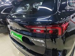 Ford Lingrui EcoBoost 170 Platinum Edition - photo 7