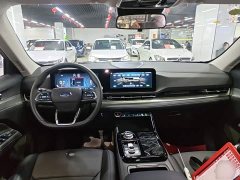 Ford Lingrui EcoBoost 170 Platinum Edition - photo 9