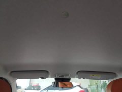 Changan Lumin 205km Xiangqin Edition - ფოტო 17